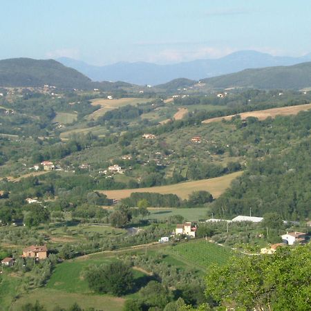 Agriturismo Poggio Della Rosa Amelia Exteriér fotografie